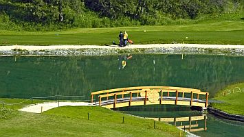 Mit einem KLICK aufs Bild vergrssert es sich. Mit F11 macht man es noch grsser. Mit dem grossen Bild wird gleichzeitig eine SLIDE-SHOW zur Verfgung gestellt. Es geht VOR oder ZURCK in dem man RECHTS oder LINKS auf das grosse Bild klickt. Beendet wird die Gross-Darstellung durch KLICK in den abgedunkelten Bereich oder auf (x).