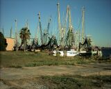 Fisherboats in harbour of Apalachicola.
CLICK on picture to enlarge. Later CLOSE (x) large picture.